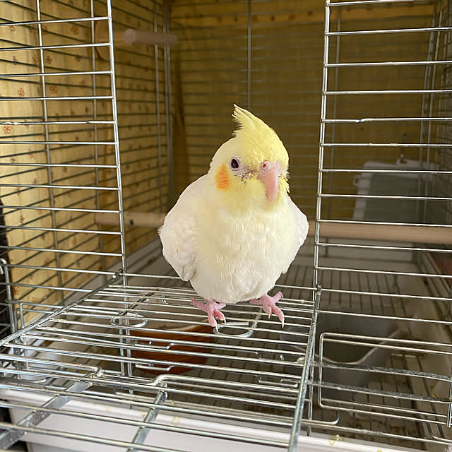 mさんの実例写真