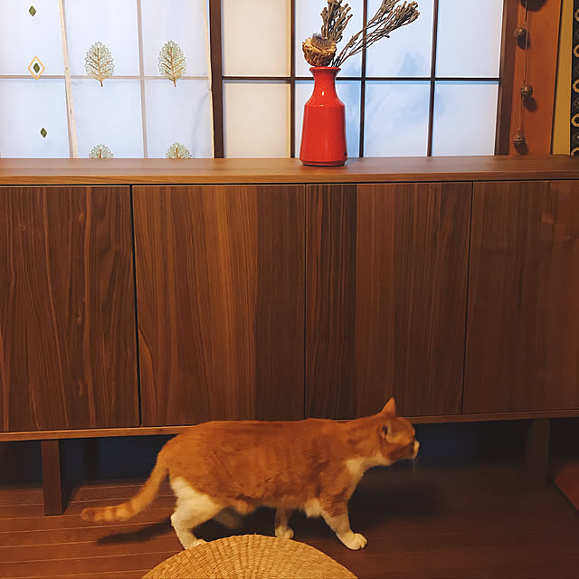 nyanko-beamさんの実例写真