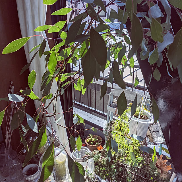 Tomokoさんの実例写真
