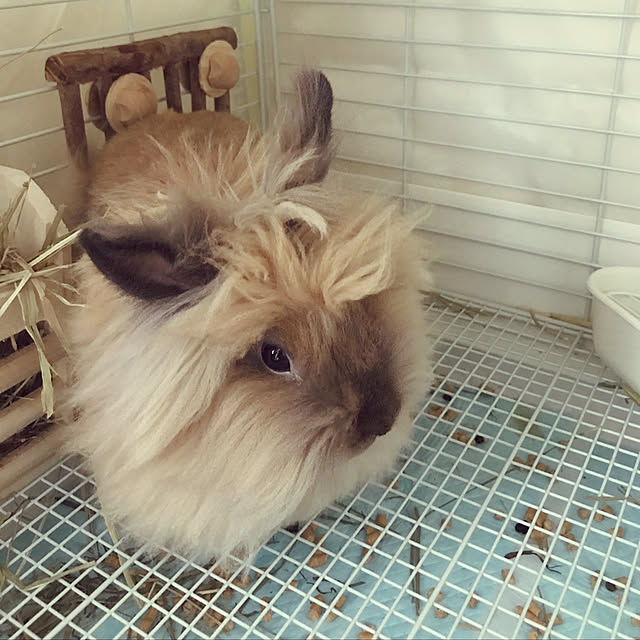mさんの実例写真