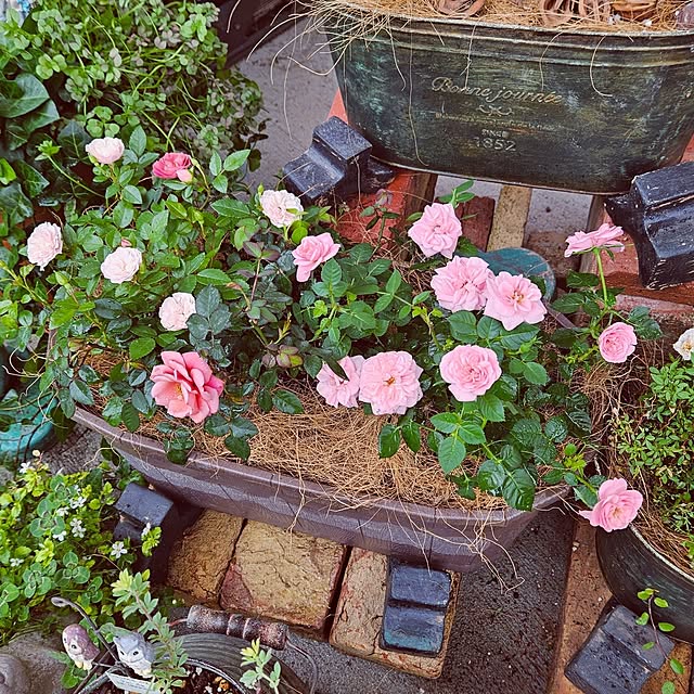 mocomocoさんの実例写真