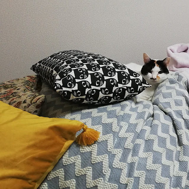 chocoさんの実例写真