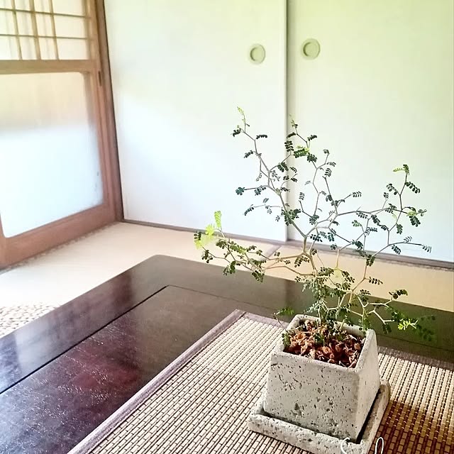 rittaさんの実例写真
