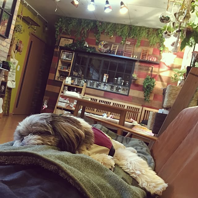 ANNAさんの実例写真