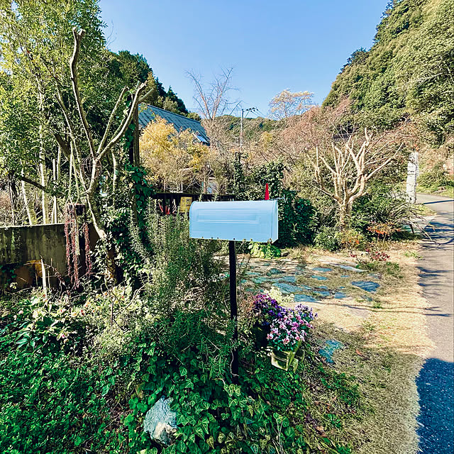 grapefruitmoonriderさんの実例写真