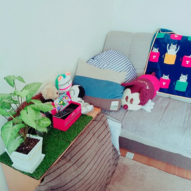 azuki38さんの実例写真