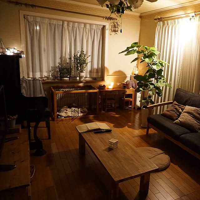 te._.etさんの実例写真