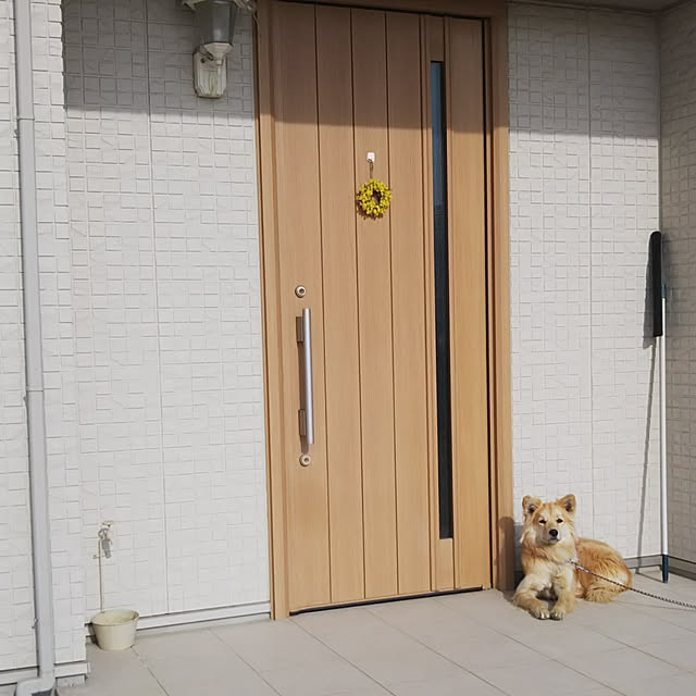 kaoriさんの実例写真