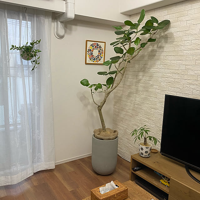 saepiiさんの実例写真