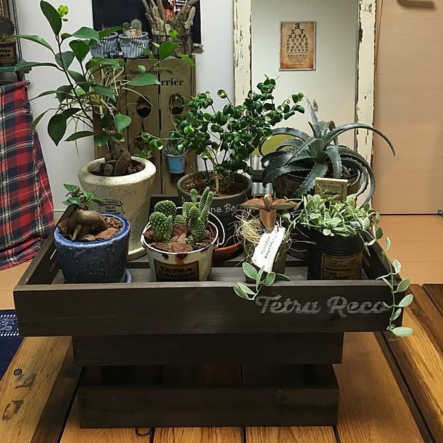 tetra163さんの実例写真