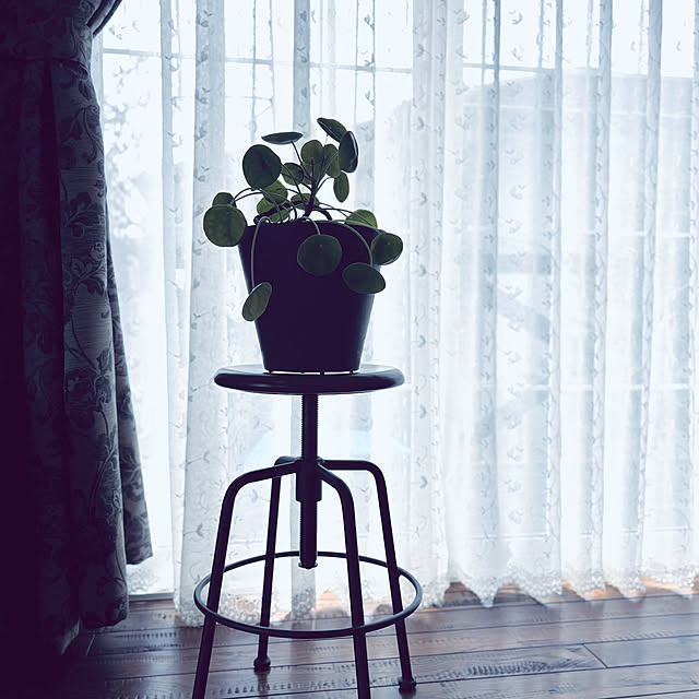 usagiさんの部屋