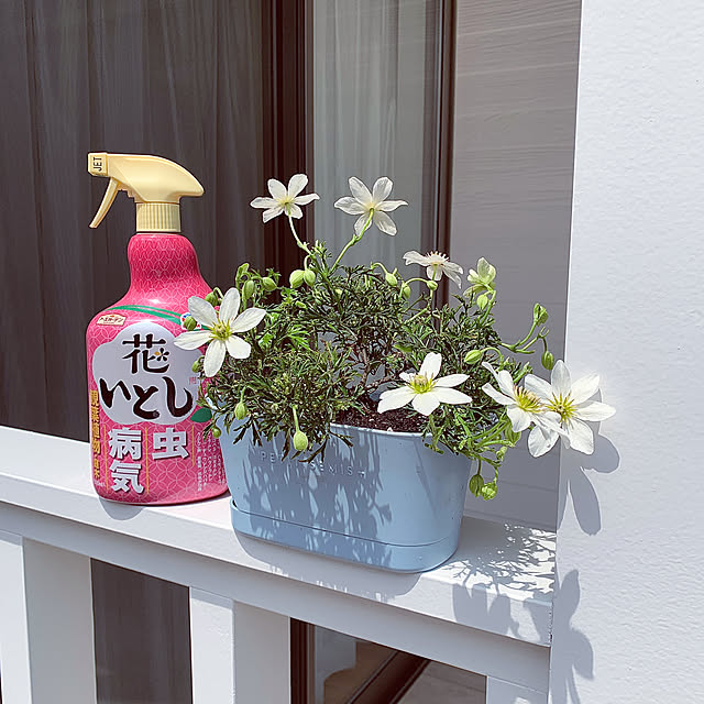 koko_hikaさんの実例写真