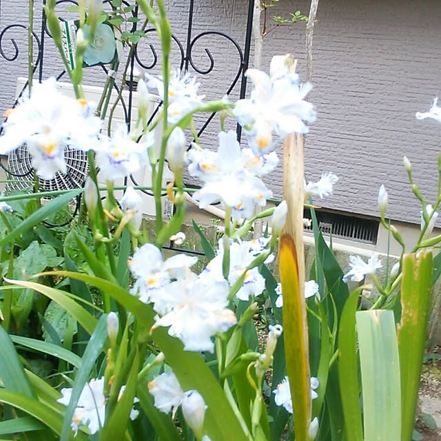 Tomopさんの実例写真