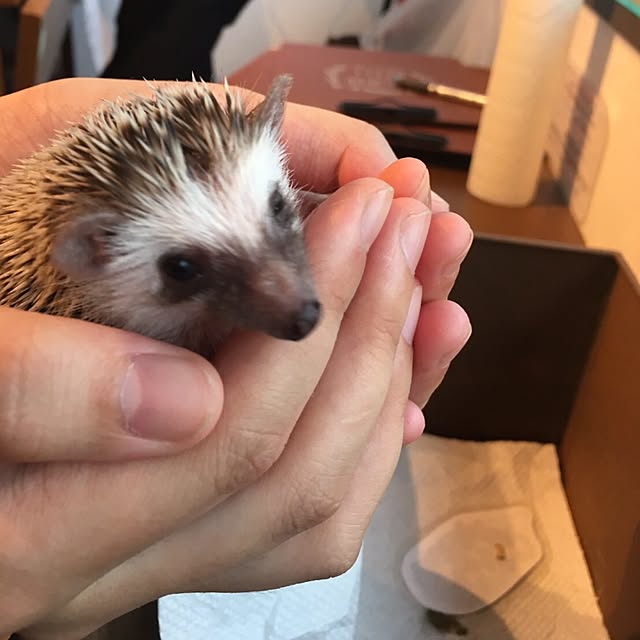 ohanaさんの実例写真