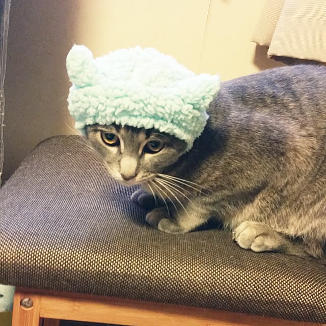 oyumiさんの実例写真