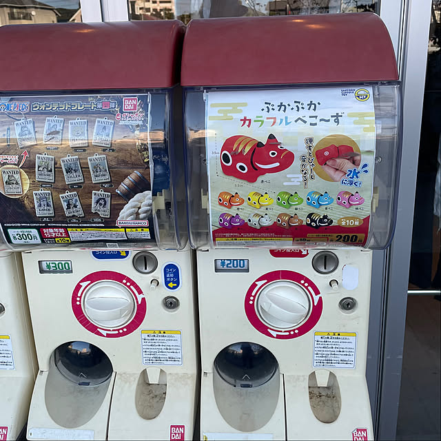 yukichi.wanwaさんの部屋