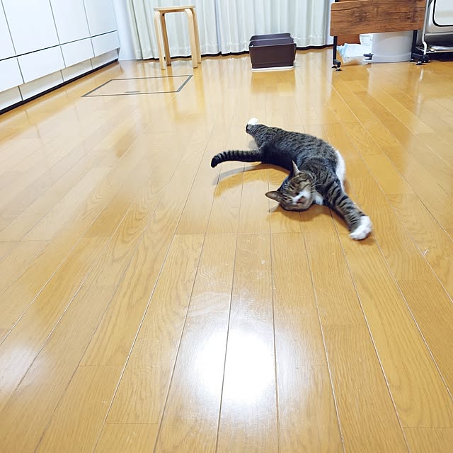 nachiさんの実例写真