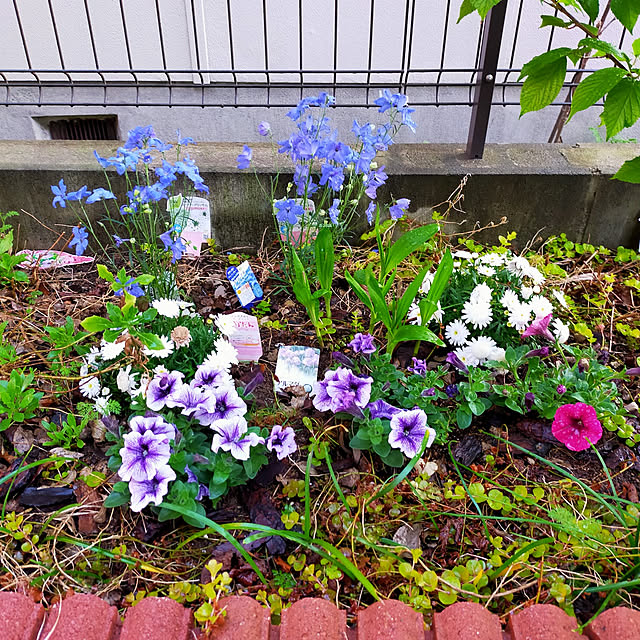 masaさんの実例写真