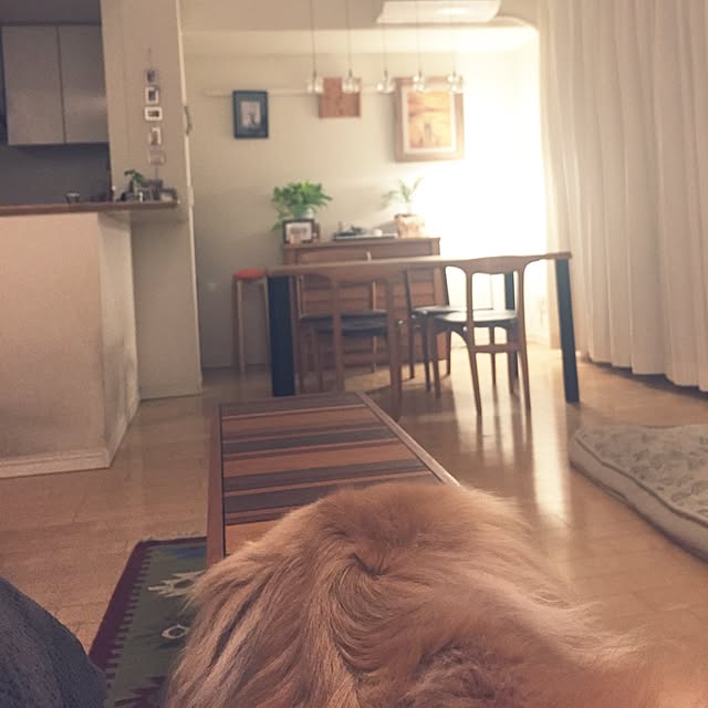 Rose0930さんの実例写真