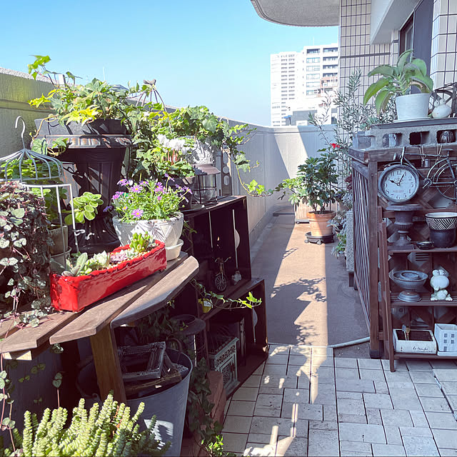 rinrinさんの実例写真