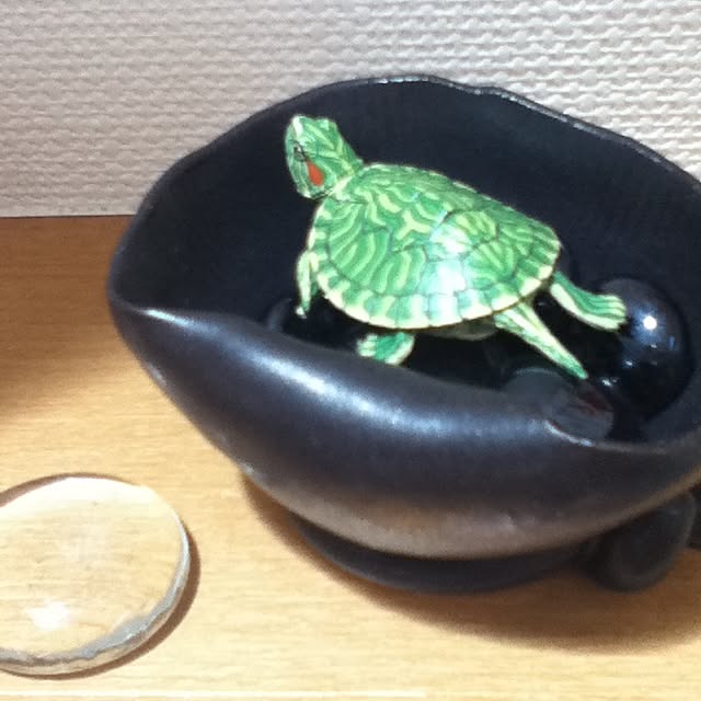 rie0084さんの実例写真