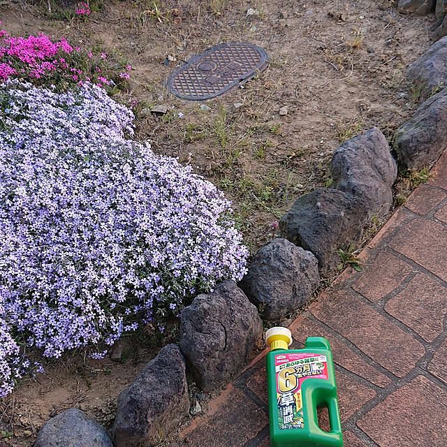 yukkin29さんの実例写真