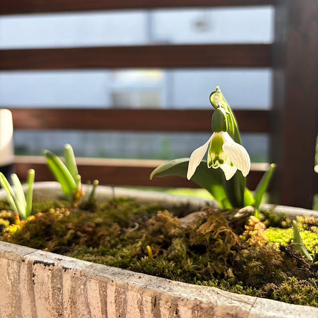 kyoko1124koさんの部屋