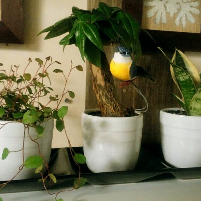 chi-さんの実例写真