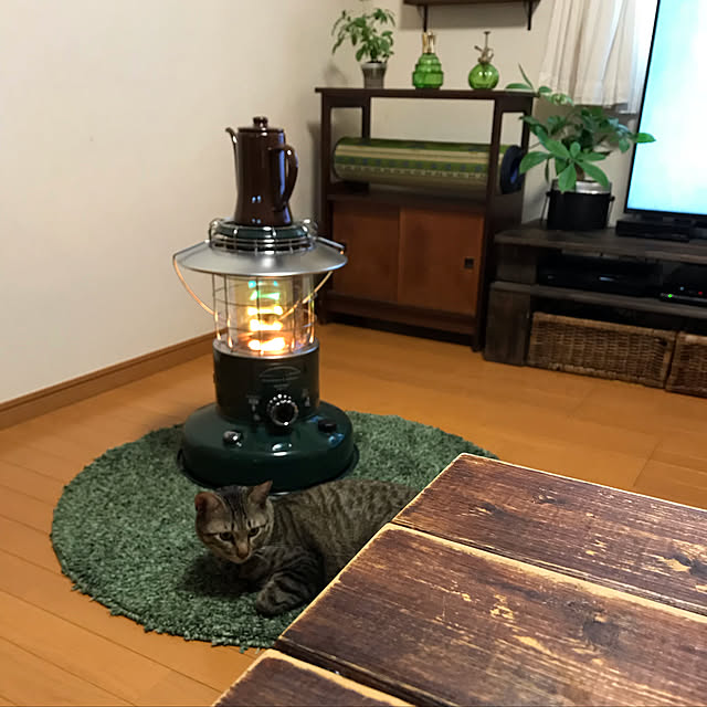mikan161さんの実例写真