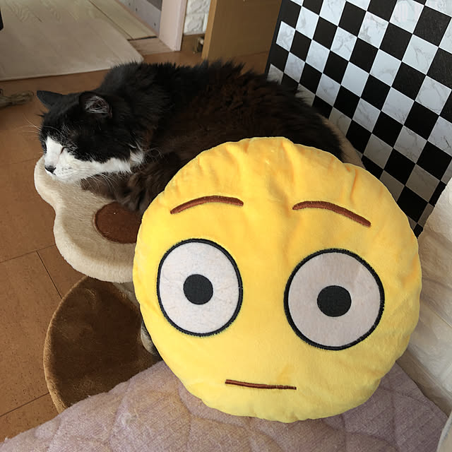 kanaさんの実例写真