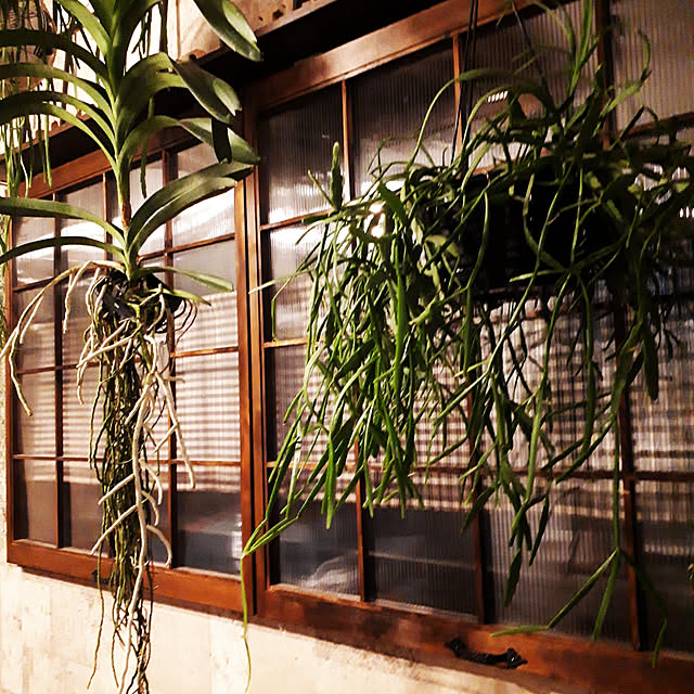 yuaさんの実例写真