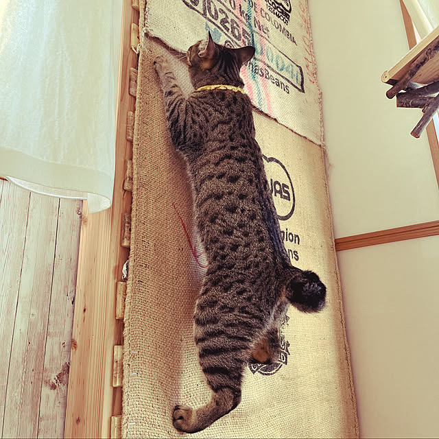 Mさんの実例写真