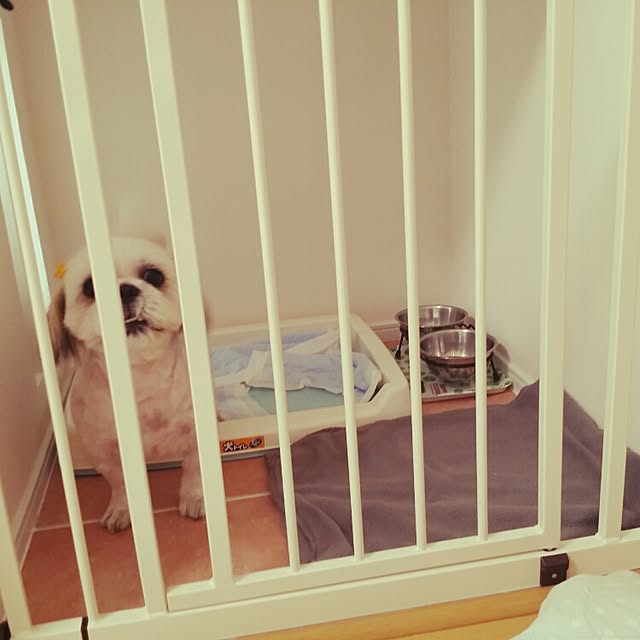 mo-chiさんの実例写真