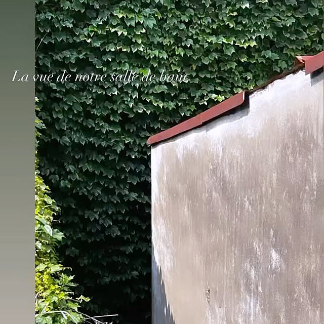 lienさんの実例写真