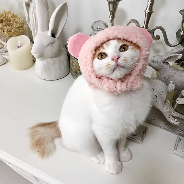 yuchiさんの実例写真