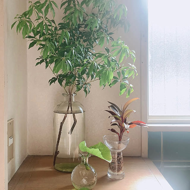 nao.roomさんの部屋
