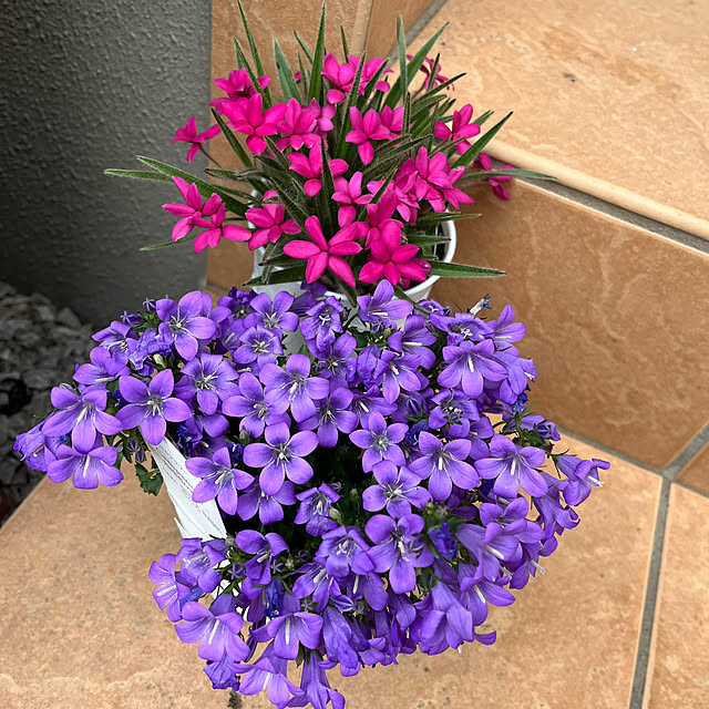 EMIKOさんの部屋