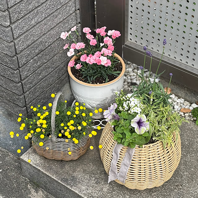 maayaさんの部屋