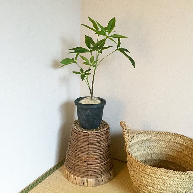 Kaneyukiさんの実例写真