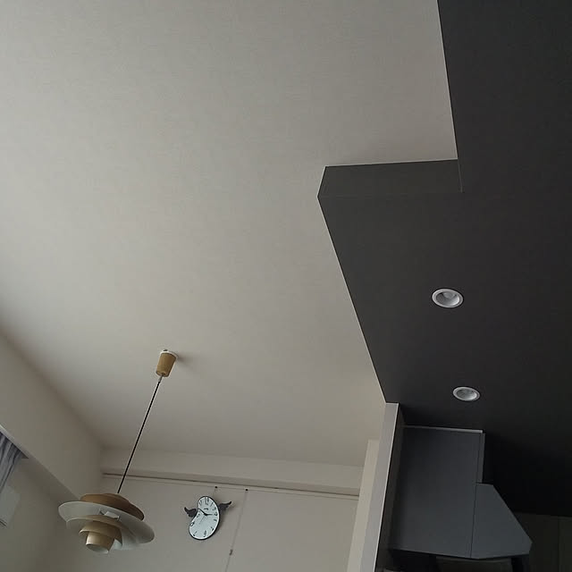 壁/天井のインテリア実例 - 2021-06-15 15:36:39