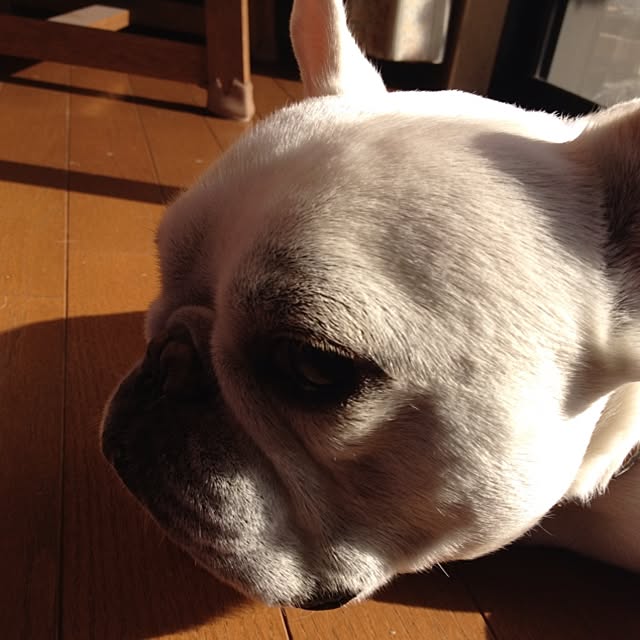 asuka_obamaさんの実例写真