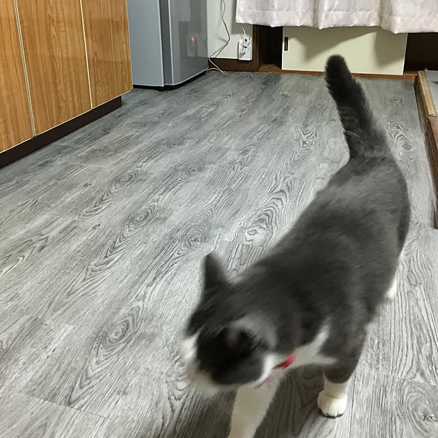 raindrop_seedさんの実例写真