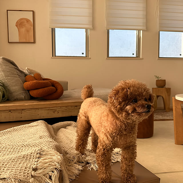 Tarutoさんの部屋