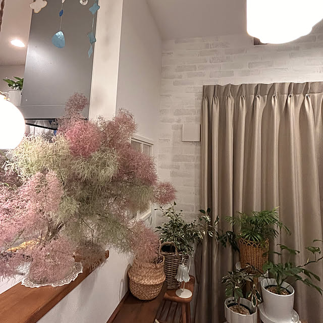 meruさんの部屋