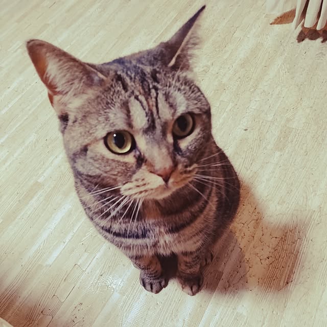 runaさんの部屋