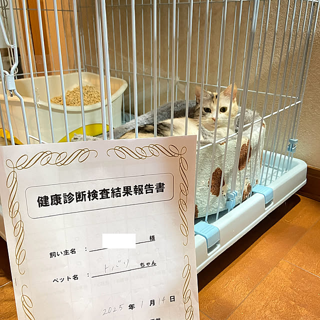 hansho.sさんの部屋