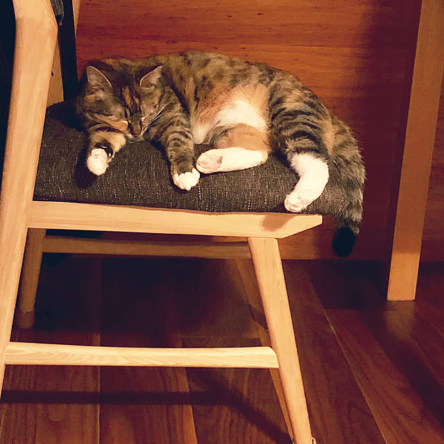 vino0414さんの実例写真