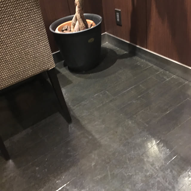 Ryutaroさんの実例写真