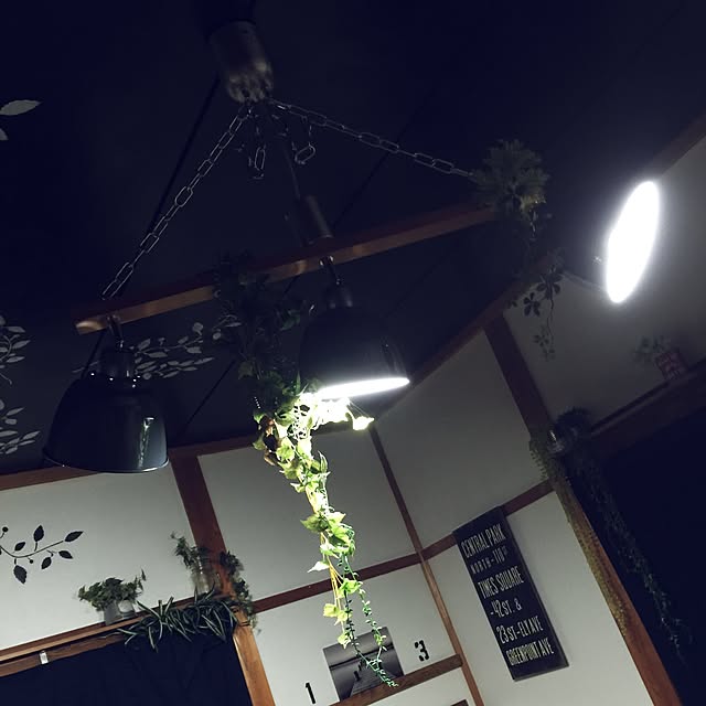 hashimaさんの実例写真