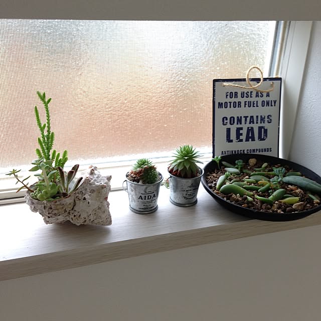 bon1116さんの実例写真